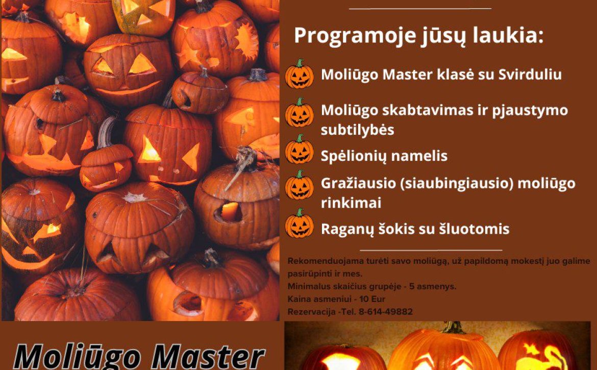 Moliugu_master_klase