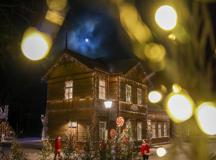 Kaledinis_siaurukas_2023-1