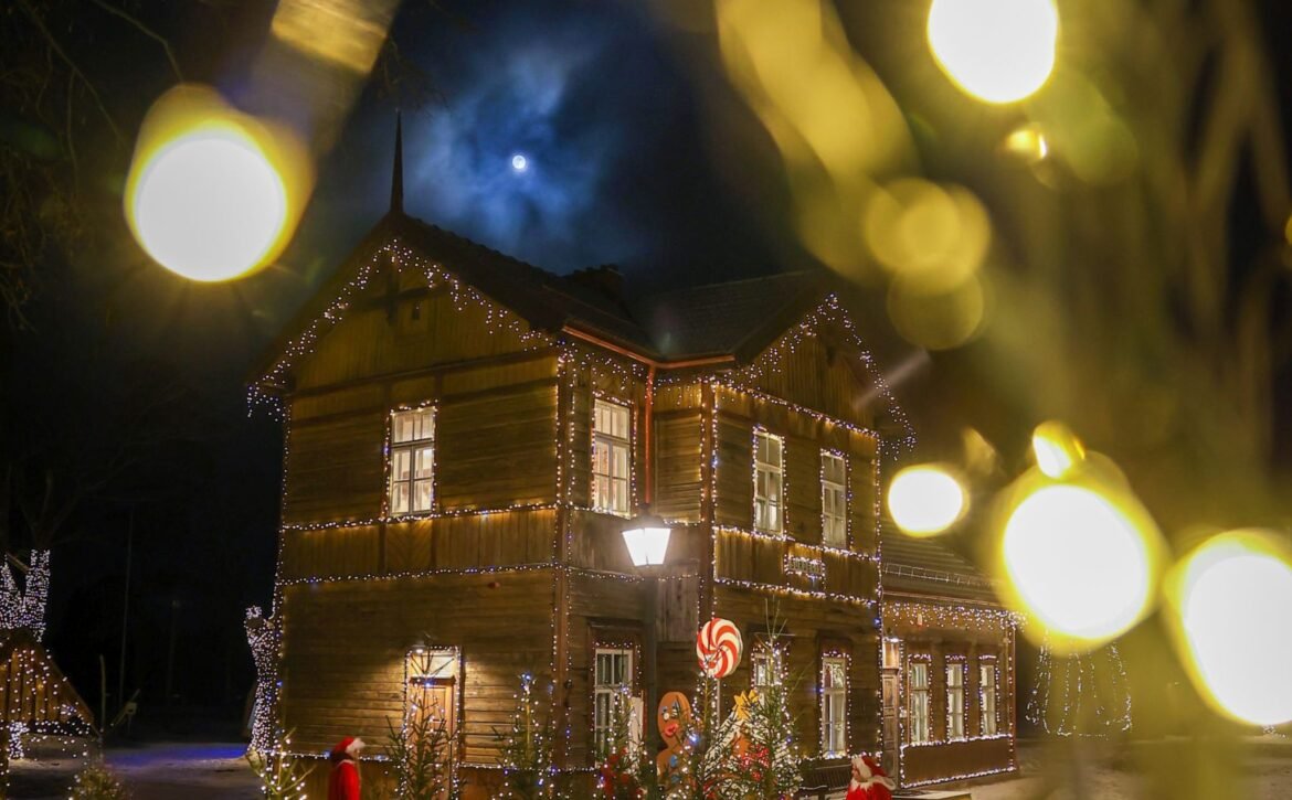 Kaledinis_siaurukas_2023-1