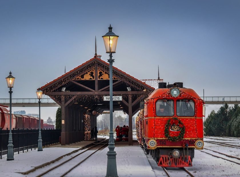 Pradžia 4 Kaledinis_siaurukas_G_Lukoseviciaus_nuotr