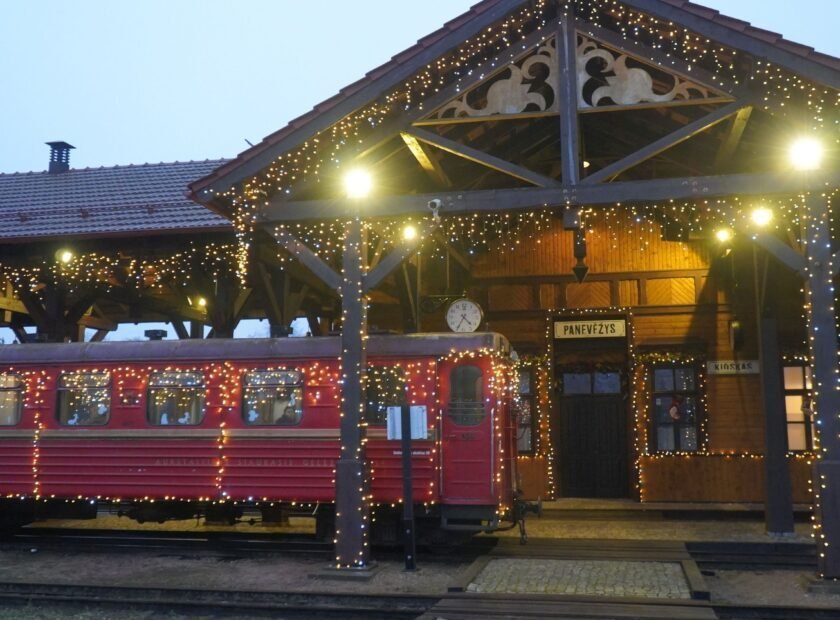 Kaledinis_siaurukas_4