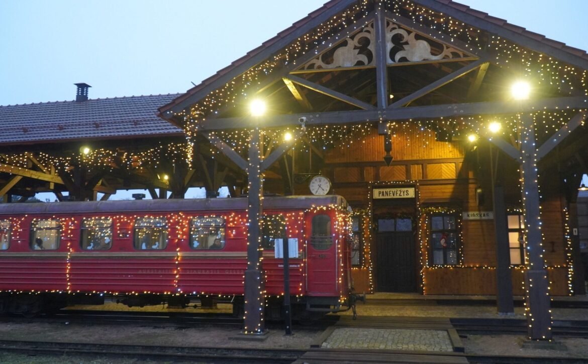 Kaledinis_siaurukas_4